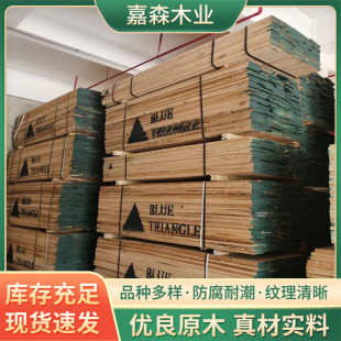 �����t��ľë�ϰ�� ����������ľ��S�ҹ��� �t��ָ�Ӱ�