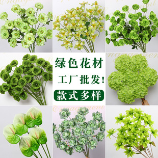 ����Gɫ���Ļ�c������Y���Ų廨�bGɫ���ٻ�ˇ�̈���Odiy