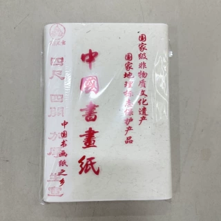 龙腾纸业宣书画练习宣生宣半生熟宣初学者书法国画工笔画练习用宣