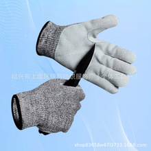 F؛HPPE5и̴˺ĥ͸Cе@ˇo