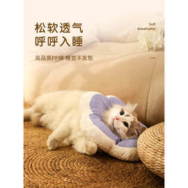 宠物伊丽莎白圈猫咪项圈围脖防舔狗狗脖圈伊利沙白圈绝育头套软圈