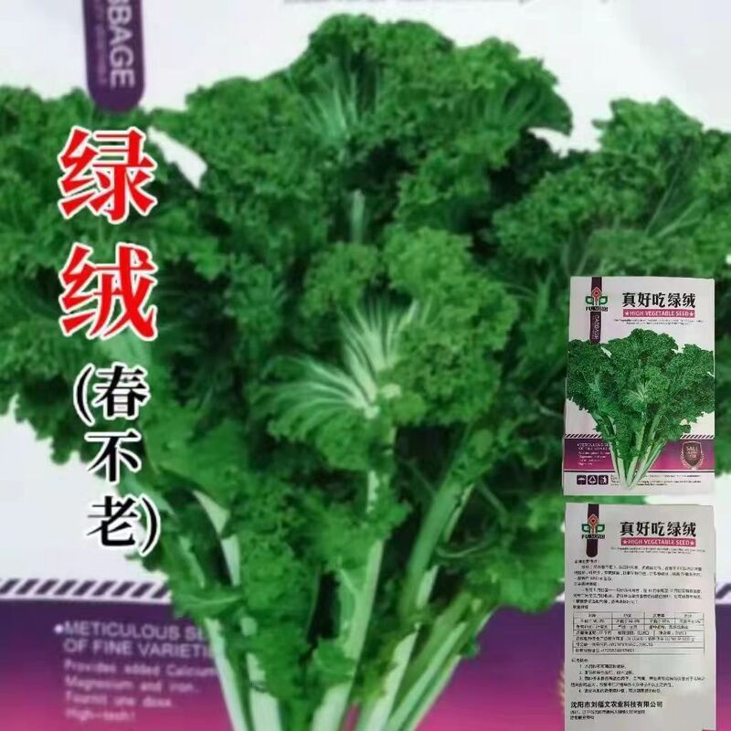 Green Velvet Spring Immortal Seeds Overwintering Small Cabbage Mosaic Seeds Spring Immortal Green Cabbage Seeds Vegetable Seeds Green Velvet Spring Immortal Seeds Overwintering Small Cabbage Mosaic Seeds Spring Immortal Green Cabbage Seeds Vegetable Seeds