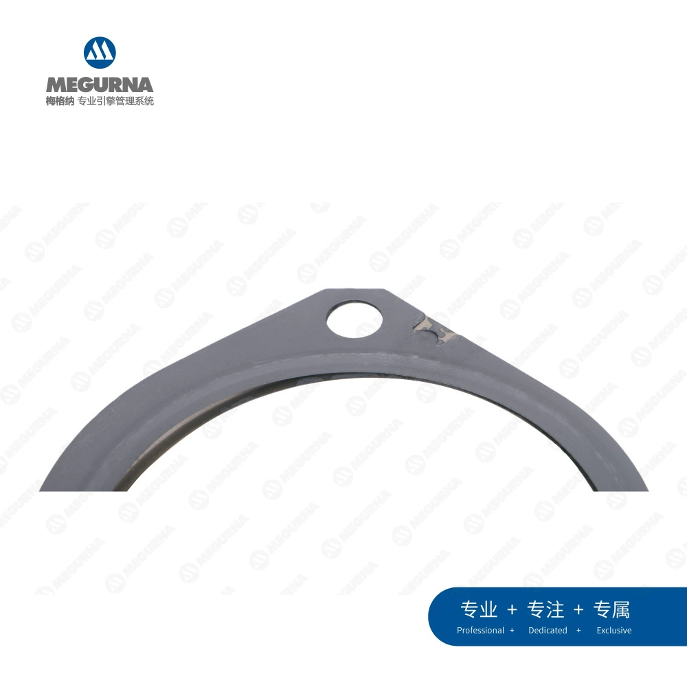 8E0 253 115 C suitable for Audi 3.0 (BBJ) three-way catalytic pad