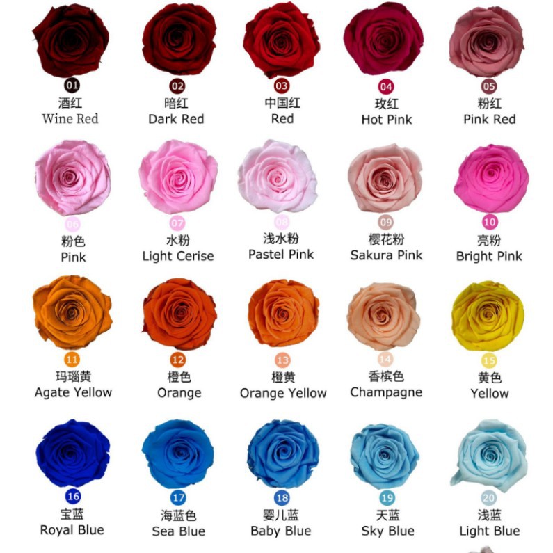 Flor inmortal pétalos de rosa flores verdaderas Día de San Valentín boda coche de boda decoración del hogar Flor inmortal DIY material al por mayor