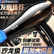 德國大功率電吹風機發廊用酒店用負離子理發店大風力護發速干風筒