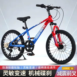 山地自行车;公路自行车;自行车