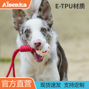 ��ɭ�� ����ĥ����ҧ�K���׻���E-TPU���|����Ӗ�����ӽ␞���