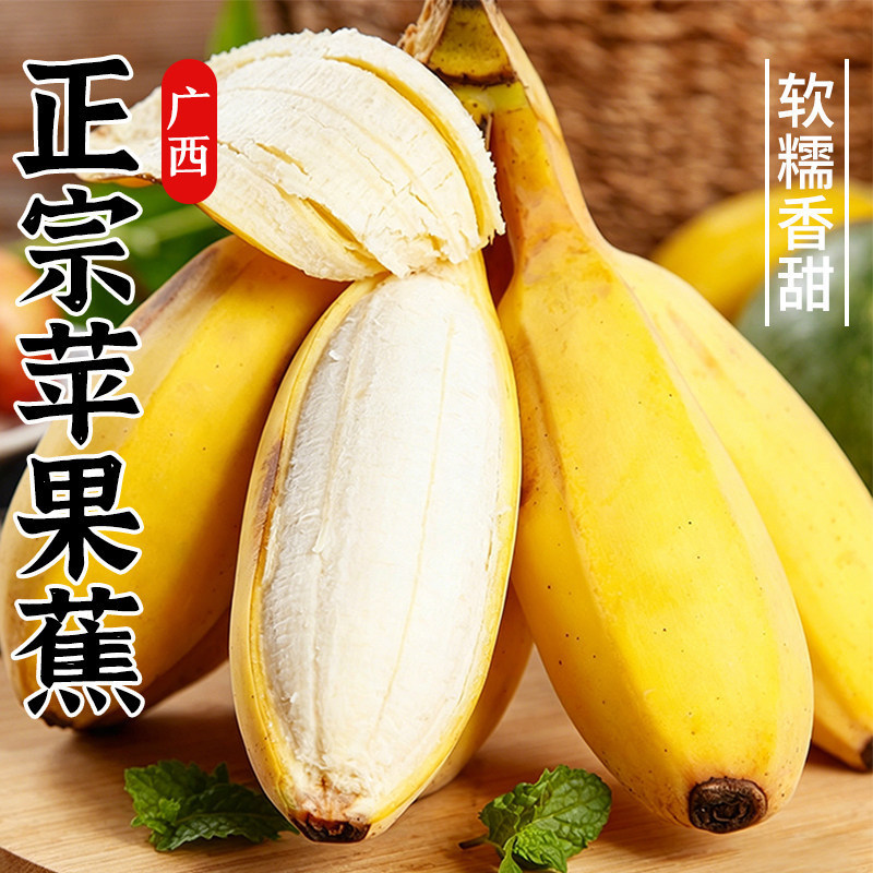 Authentic Apple Bananas, Seasonal Whole Box of Naturally Ripened Plantain Bananas, Fresh Fruit with Free Shipping, Soft and Glutinous Plantain Bananas