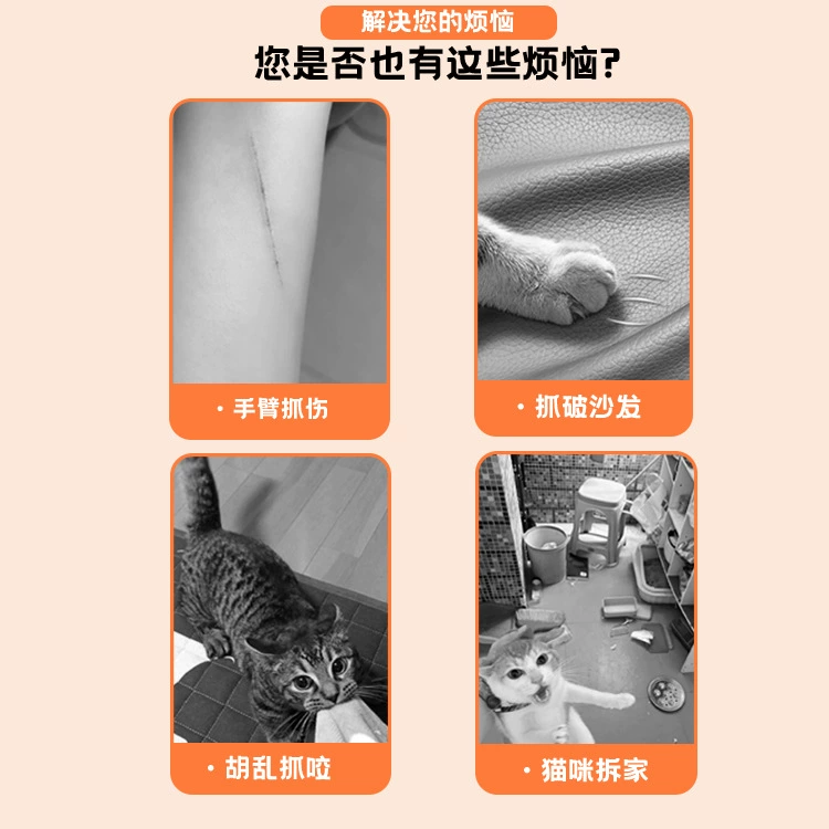 Self-adhesive protective wear-resistant sofa on wall, cat