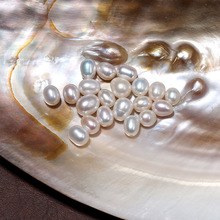 ��Ȼ��ˮ����ɢ���п��T�߆��w����diy��������������Ʒ���