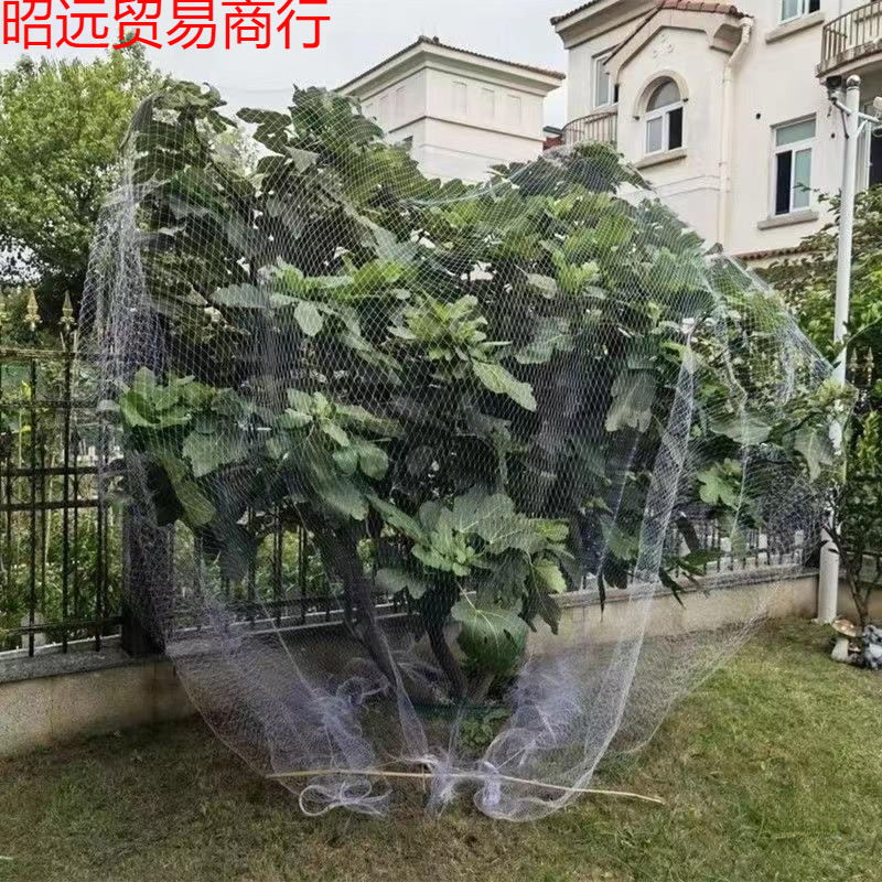 果树防鸟网樱桃树嘉宝树果园防护网果树网罩遮树葡萄防鸟用的网