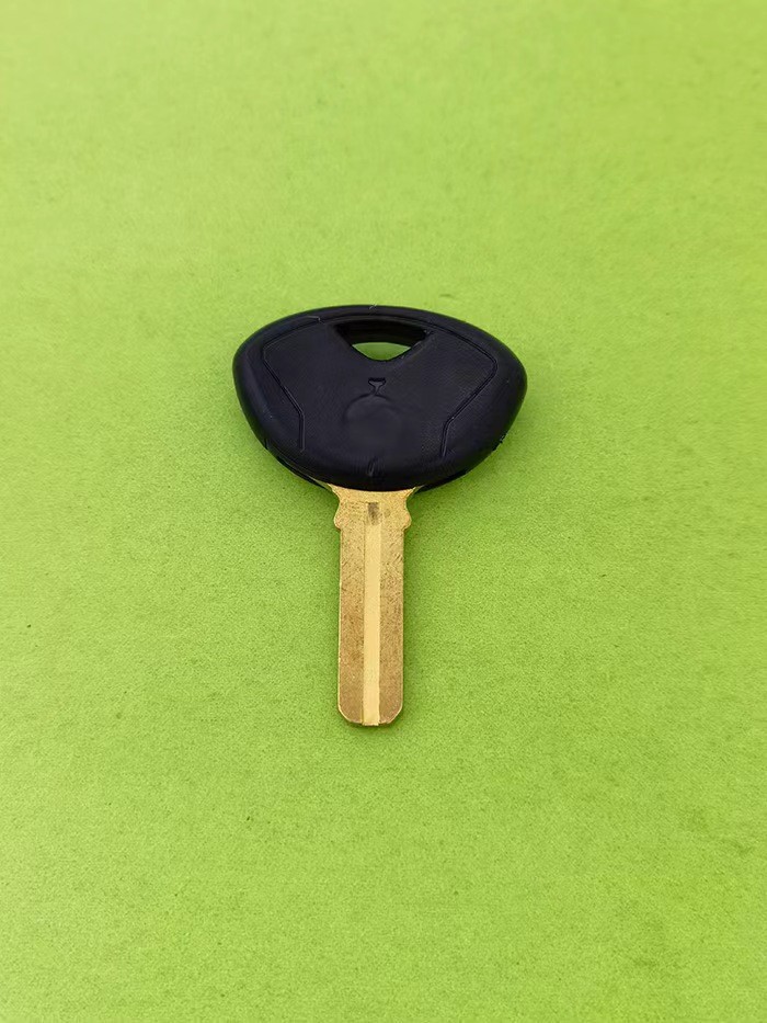 Bmw Motorcycle Key F800Gs R1200Gs Adv Oil Bird Water Bird F800Gt S1000Xr Key