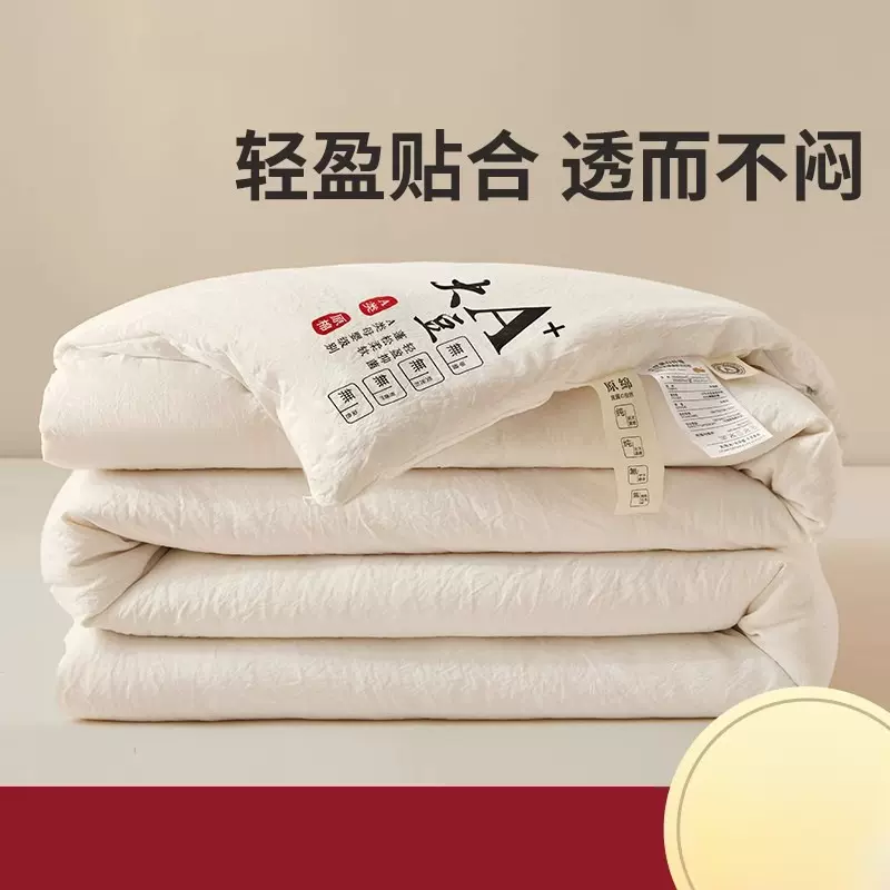 大豆纤维被子冬被春秋被秋冬季棉被被芯单人宿舍四季通用