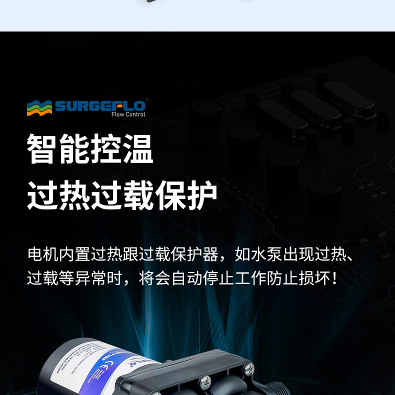 42款12v24v隔膜泵