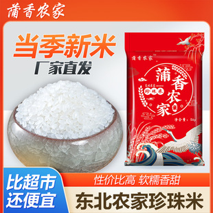 �S�����l�������ז|������5kg�����r��������10�����������״��l