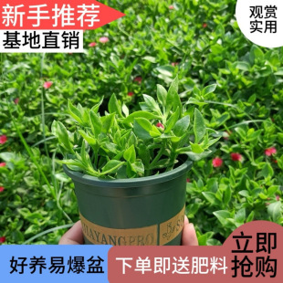 ĵ�����m�������Դ���ֲ���҃��̨�ļ��_�������՚�����ȩ�Gֲ