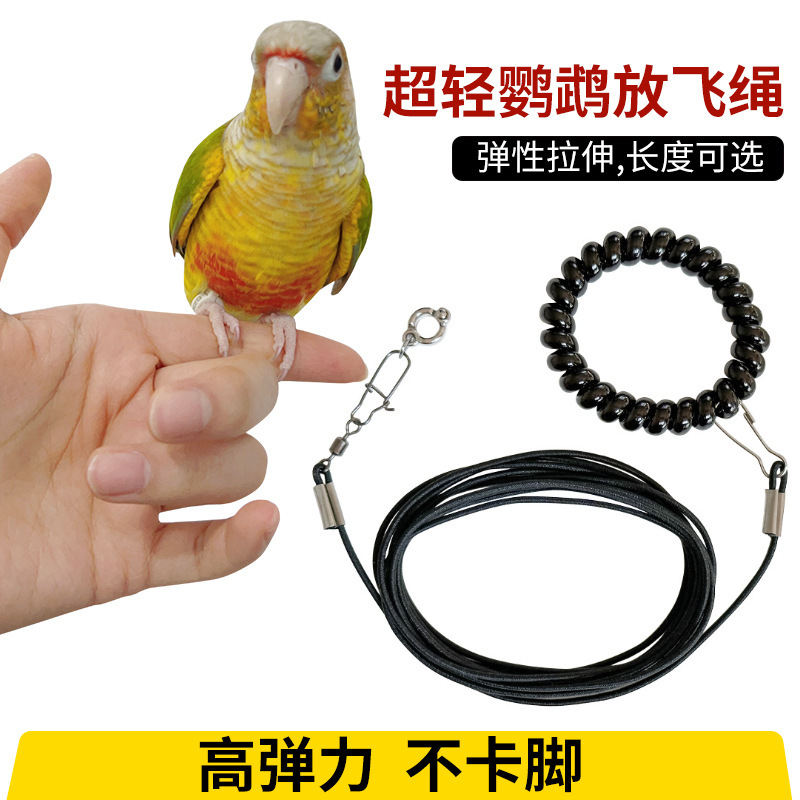オウムの放鳥ロープ、鳥のペット用超軽量牽引延長ロープ、虎皮牡丹、黒鳳、小太陽僧侶の鳥の散歩ロープ|undefined