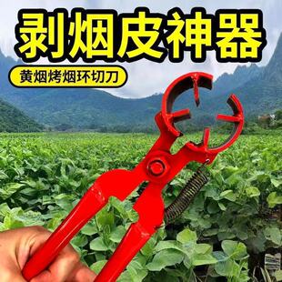 ������Ƥ�����S�����íh�����Nֲ���ڱ�����Ƥ����֦��߉��h����