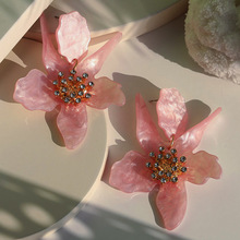 �W���羳�r�б���������滨���� �ճ�����������h���S