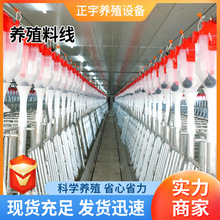 猪舍料塔料线养殖场用自动上料设备全套自动化输送料线养殖料线