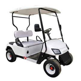 电动观光车;其他电动车;高尔夫球车