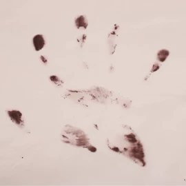 涤纶面料;尼龙面料