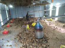 养鸡场取暖炉大棚加温炉养殖炉煤炭炉冬季保温养殖鸡鸭苗采暖炉子