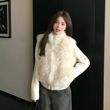 晴山雪绒羊毛半卷毛山羊绒皮毛一体皮草羊羔毛外套女新款冬针织袖
