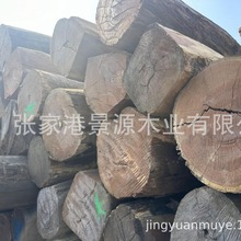 t̴ 㻨 Rt̴ 黨 ͢㻨 ̲ܶ