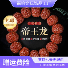 尼泊尔五瓣六瓣满肉大金刚菩提子原籽核桃文玩男士手串女佛珠跨境