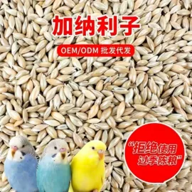 鸟食;猫砂;其他小宠用品