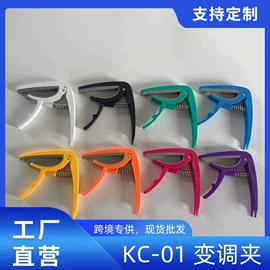 乐器配件;弹拨类乐器;乐器箱包