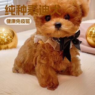 ���Ƽ��N̩�Ϲ��F�eȮ�豭ȮС�����pȮ��ͥ��HȮ���w���ﹷ��