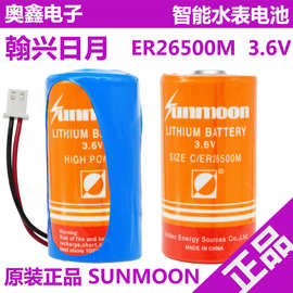 日月ER26500M水表3.6V锂亚电池流量计煤气表功率型锂电池