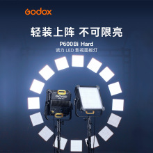 Godox神牛诺力P600Bi Hard摄影灯大功率650W补光灯LED影室面灯板