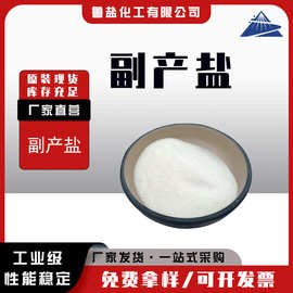 工业级氯化钠副产盐细盐烘干/甩干 印染水处理99含量工业盐细盐