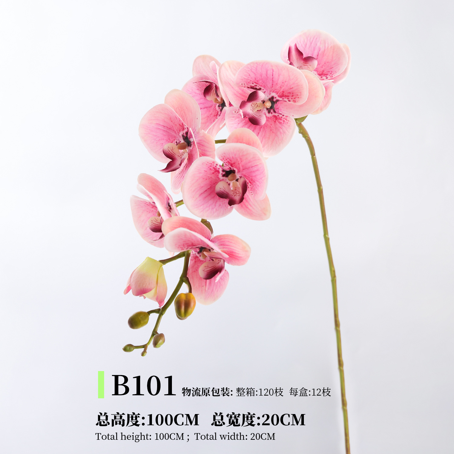 B101