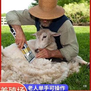 ��ë��Ƽ�����ë��������ë����늄����Ӵ���Ȯ�d����