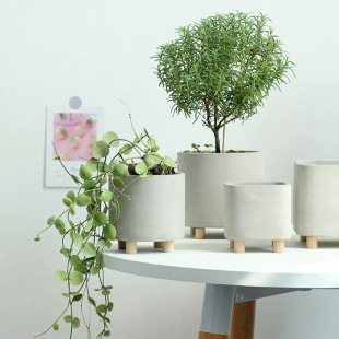 ���W���sˮ����⻨�莧�_���Ԅ��ⷽ�Ό�ľ�_�҃�������������