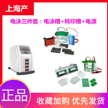 WB�Dӡ���b���׺����ӾVE180/186΢�ʹ�ֱ�Ӿ��WesternBlot