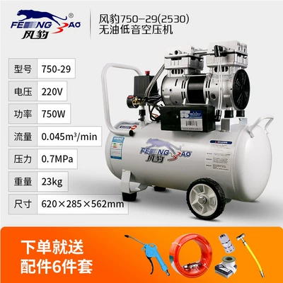 Household Air Pump 220V, Hava kompressorları - oil-free-2530-29l-750w