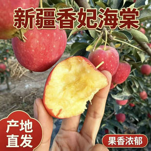 �½��������Ĺ���ˬ�����֭�������rˮ�������u��С�O��3������