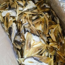 东海本港河豚鱼干滋补珍品乖脯500g食用阳光淡晒生晒生鲜黄巨鱼干