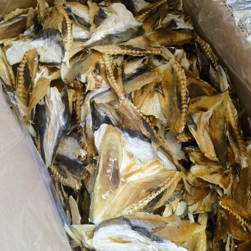 东海本港河豚鱼干滋补珍品乖脯500g食用阳光淡晒生晒生鲜黄巨鱼干