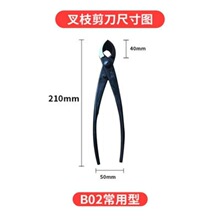 �辰���������B�o�������Թ��߲�֦��б�ڼ���֦�Qб�м����߰�