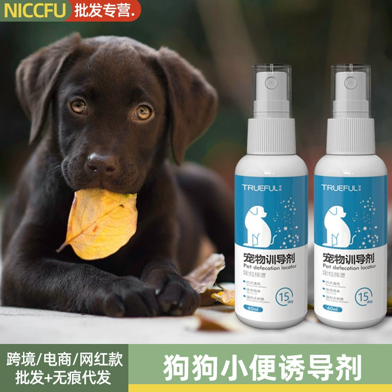 Агент индукции мочи собаки позиционирование домашних животных тренировка дефекации Туалет жидкость с фиксированной точкой тренировочный агент дефекации маленькая собака тренировочный агент