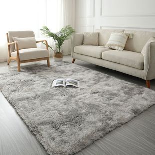 Long-Haired Ins-Style Living Room Carpet, Bedroom Bedside Coffee Table, Bay Window Blanket, Internet Celebrity Source Factory, Wholesale One Piece with Free Shipping