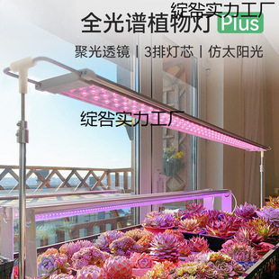 Succulent Fill Light Plus Version Color Full Spectrum Led Plant Growth Light Home Indoor Imitation Sunlight