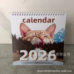 2026 Abstract Magical Cat Calendar 2026年抽象魔法猫日历挂历
