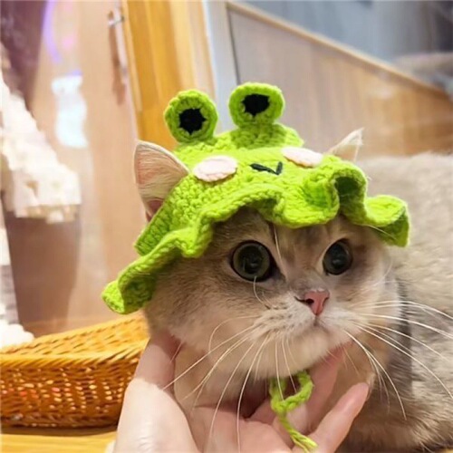 Adorable Pet Cat and Dog Christmas Hat Accessory Hand-Knitted with Small Ears New Year Gift Pastoral Style